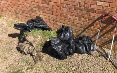 Litter pick results Rushall and Kynaston